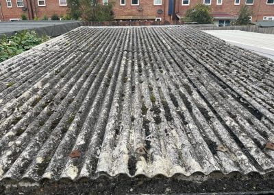 roof cleaning services