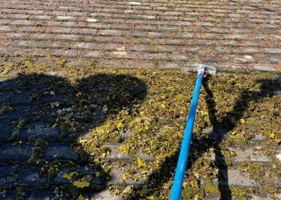 roof cleaning services