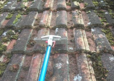 roof cleaning services