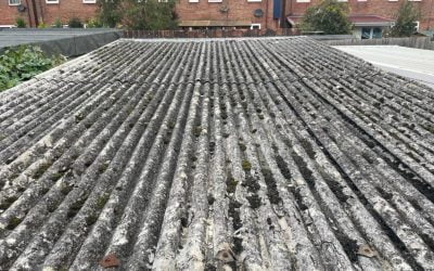 What Are the Different Types of Roof Gutter Cleaning Services?