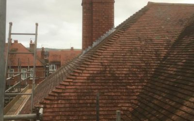 How Falling Leaves Impact Roofs? Insight from Professional Roofers